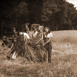 02.07-23.08.1968 - obóz harcerski w Zaniemyślu